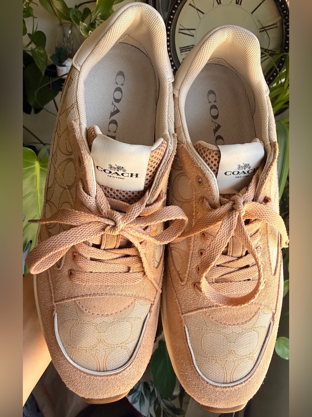 Coach Pink Blush Suede & Signature Logo Sneakers - Picture 6 of 14
